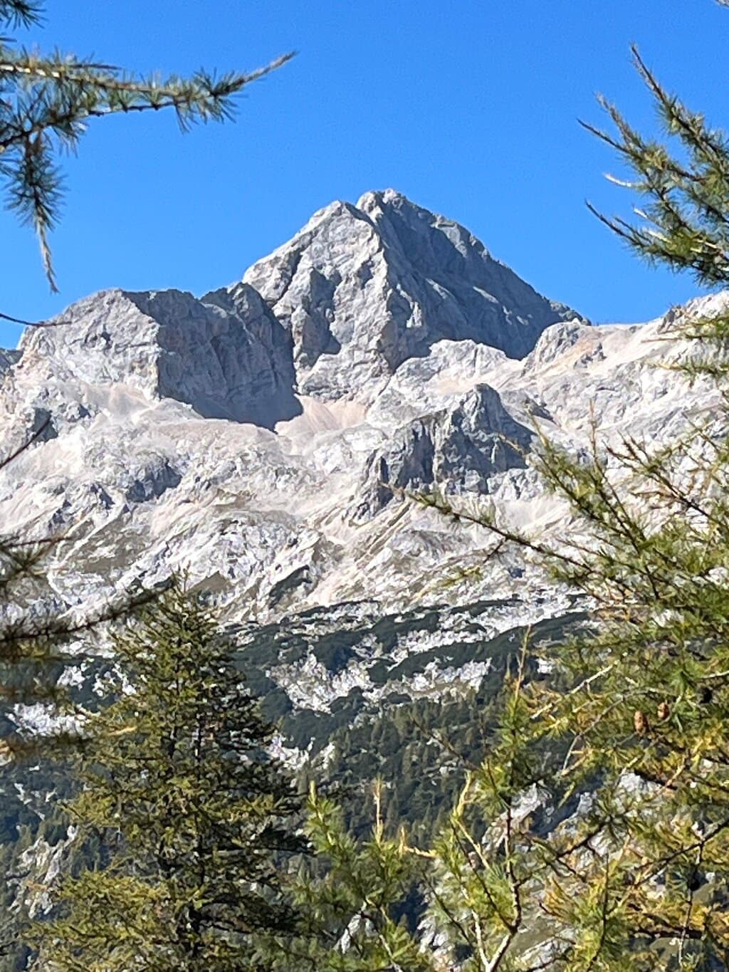 Rocky mountain peak visible above green pine trees under a clear blue sky.