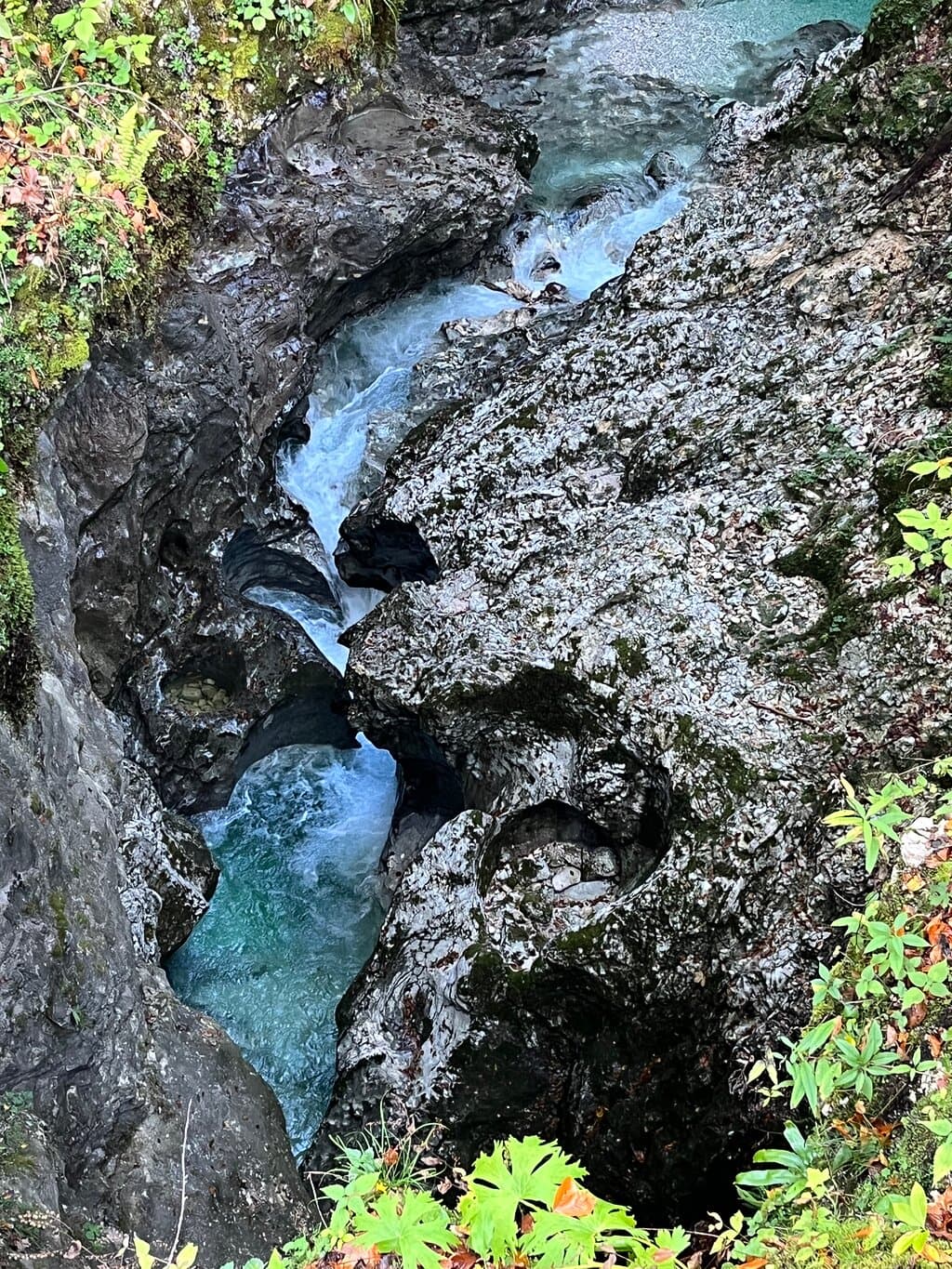 Turquoise river flowing through a narrow, moss-covered rock gorge with surrounding green foliage.
