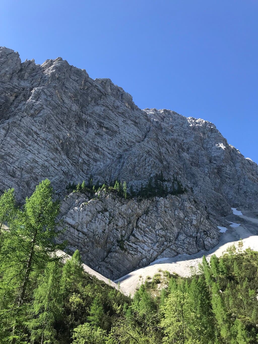 Steep gray mountain face with layered rock, green trees, and patches of snow under a clear blue sky.