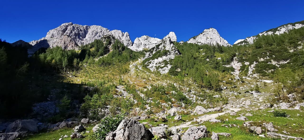 Rocky mountain slope with green trees and bright blue sky, small moon visible
