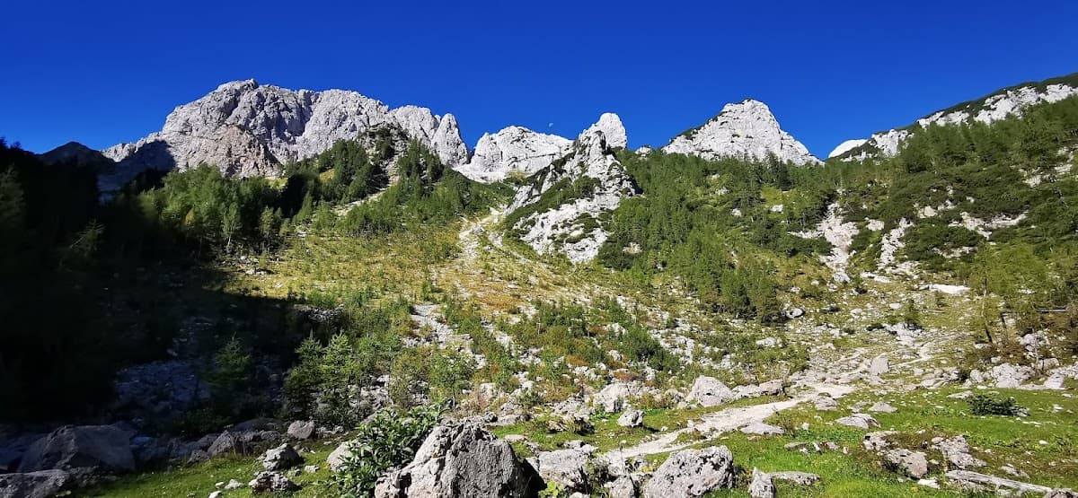 Rocky mountain slope with green trees and bright blue sky, small crescent moon visible.