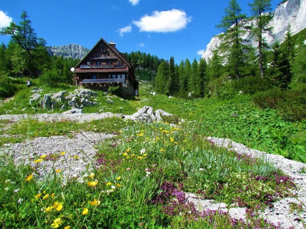 Wooden mountain hut near Triglav Lakes with wildflowers and bright blue sky