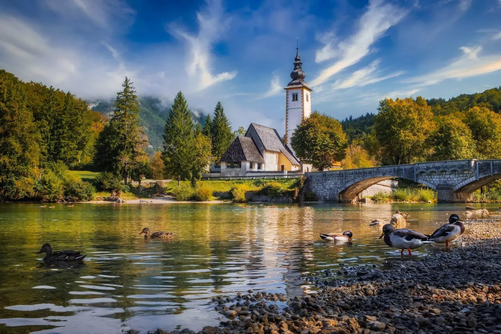 Ducks on rocky shore of lake with church and stone bridge in Bohinj, Slovenia.