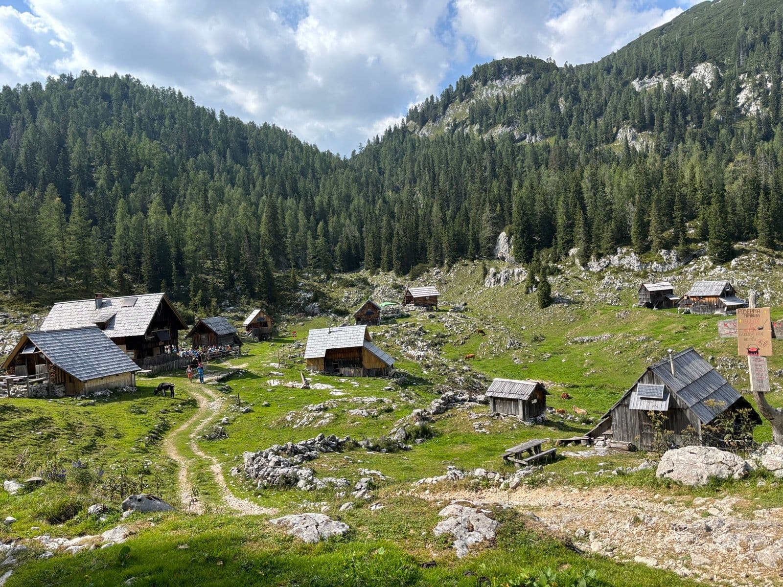 Wooden huts in a green alpine meadow surrounded by pine forests and mountains.