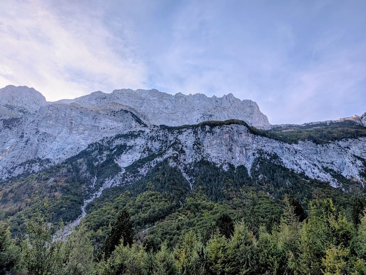 Rugged alpine mountain peaks with steep rocky cliffs and pine forest below