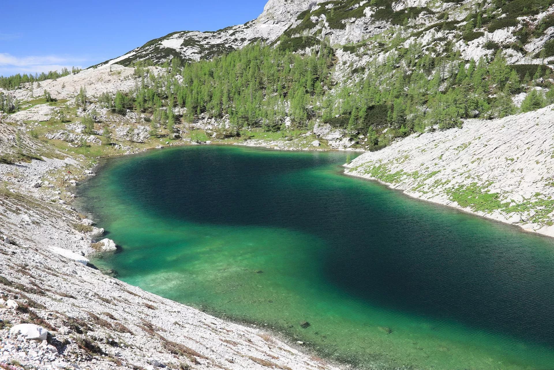 Alpine lake with clear turquoise water surrounded by rocky slopes and green pine trees