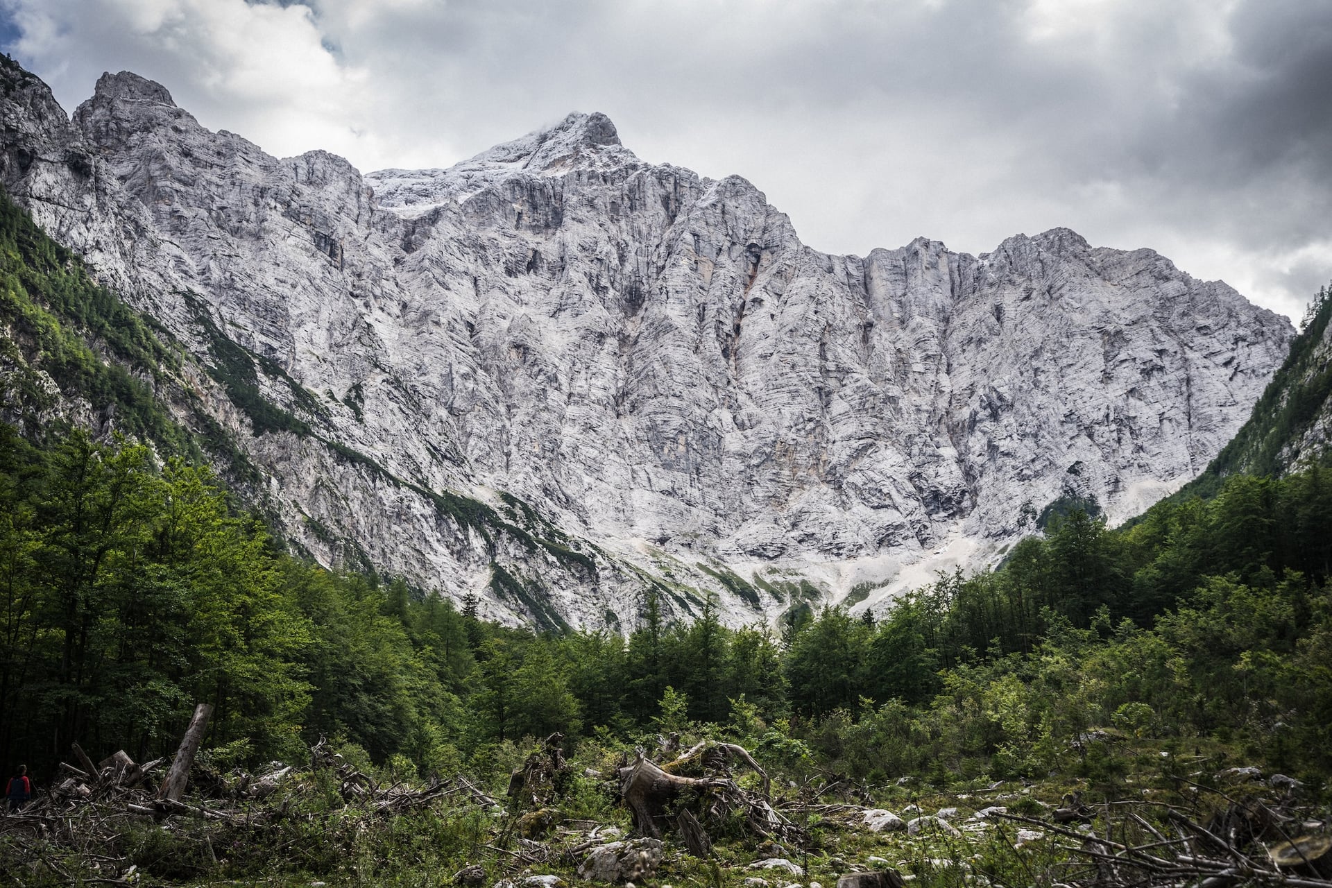 Massive gray rock face of Triglav's north face above green forest and debris under cloudy sky.