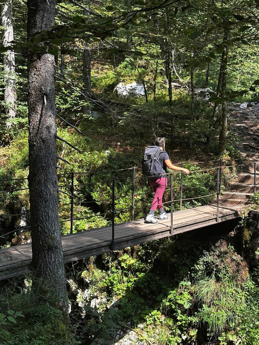 Hiker with backpack crossing wooden footbridge over gorge in dense green forest
