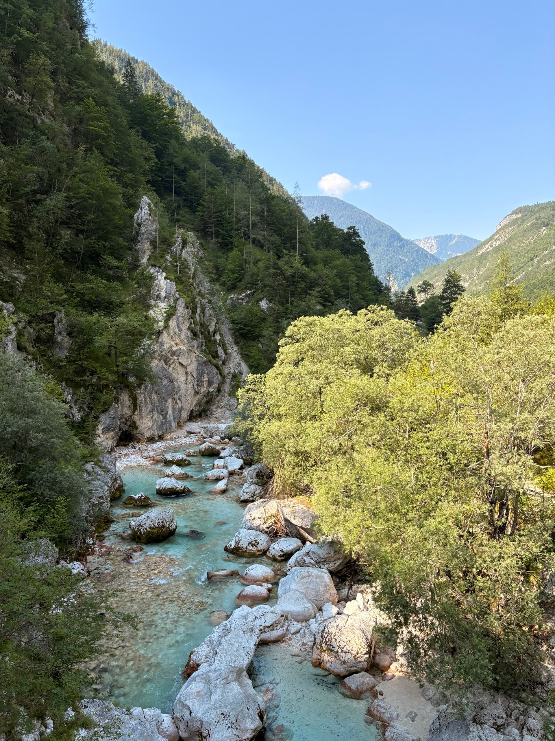 Soča River gorge with turquoise water and rocky riverbed surrounded by forested mountains