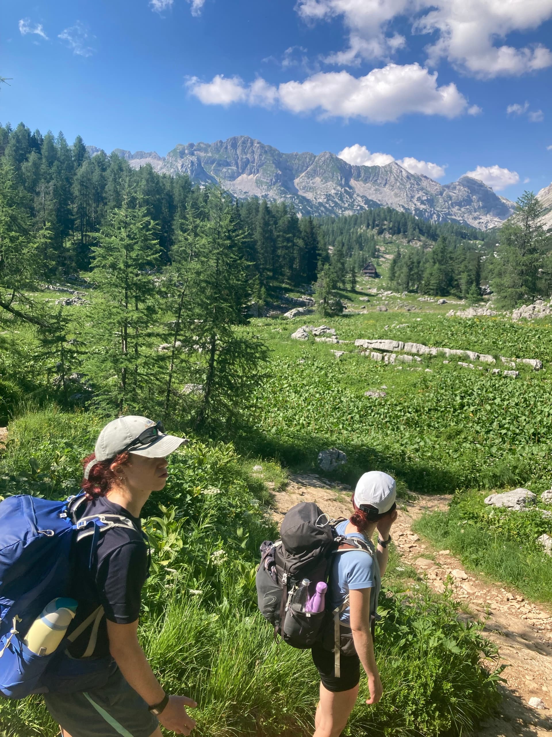 Hikers with backpacks on alpine trail with mountain peaks and forest