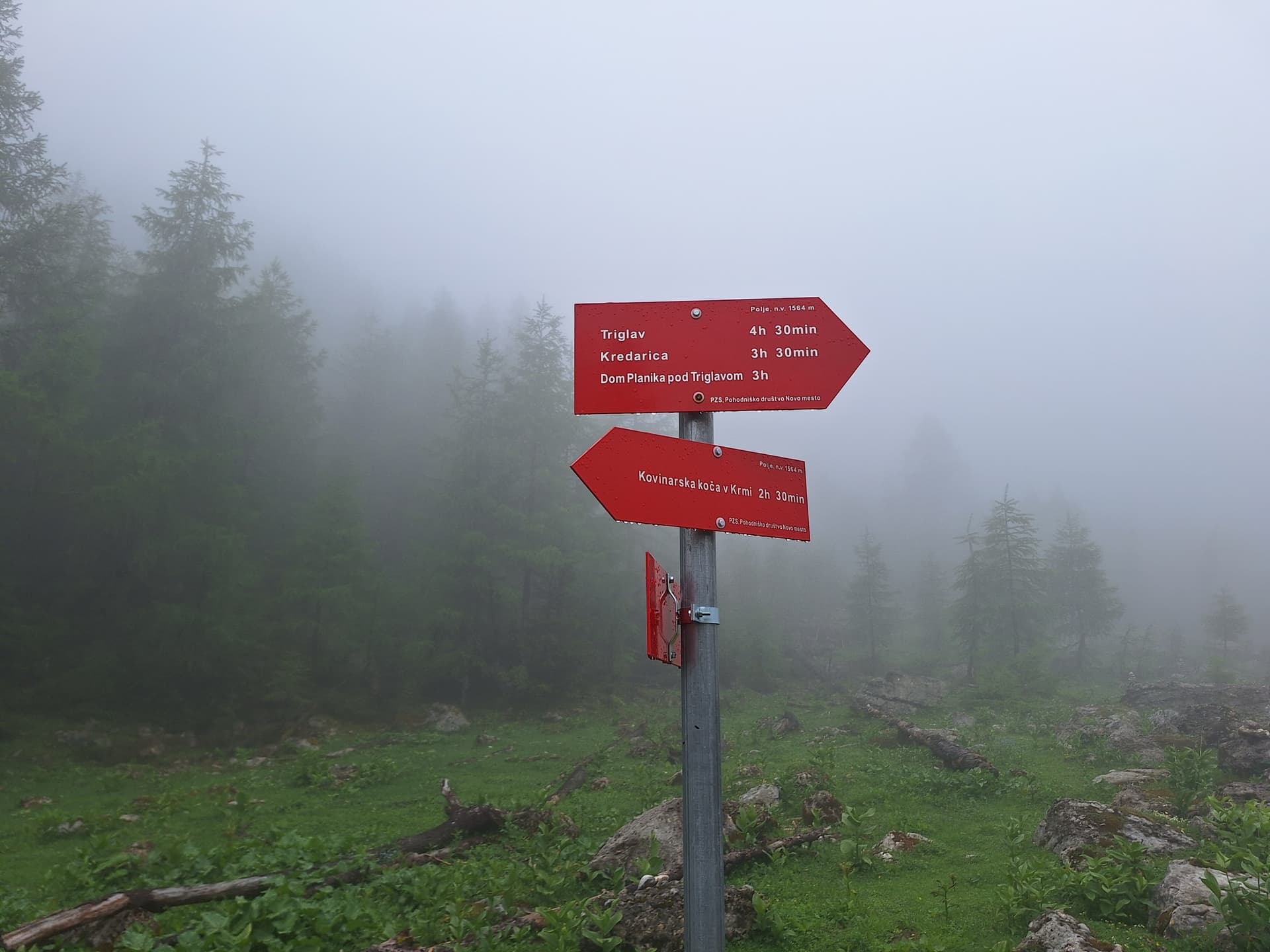 Red hiking trail signs in a misty mountain forest with pine trees