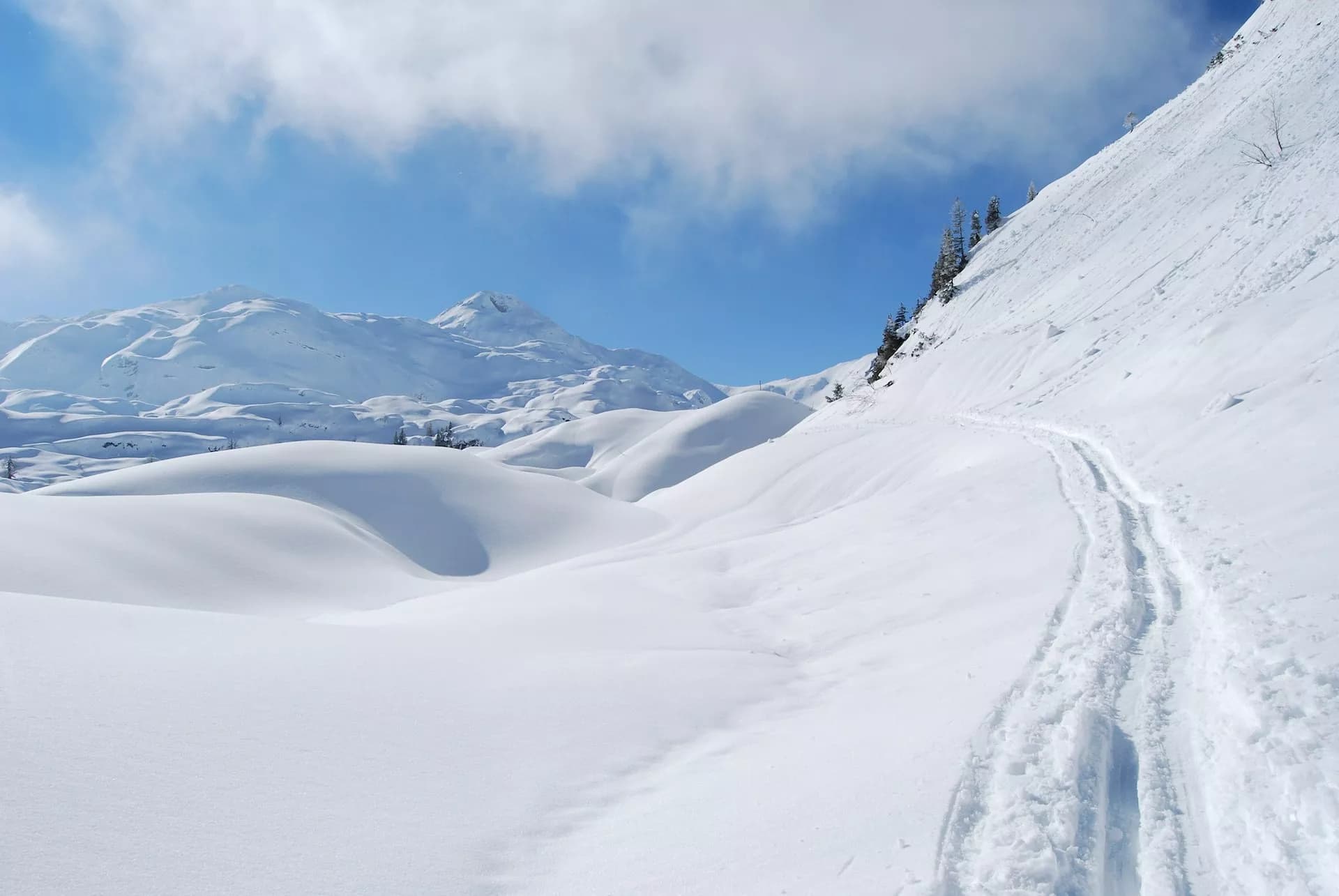Ski touring tracks curve through deep snow on a sunny day with snow-covered mountains under a blue sky.