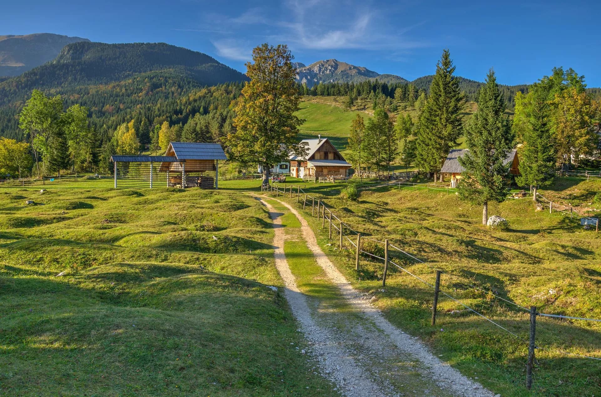 Hiking path to wooden cabins in alpine meadow with forested mountains under blue sky.