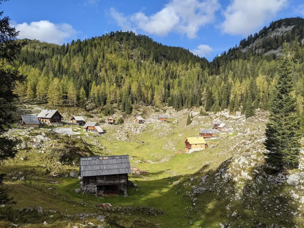 Dedno Polje pasture