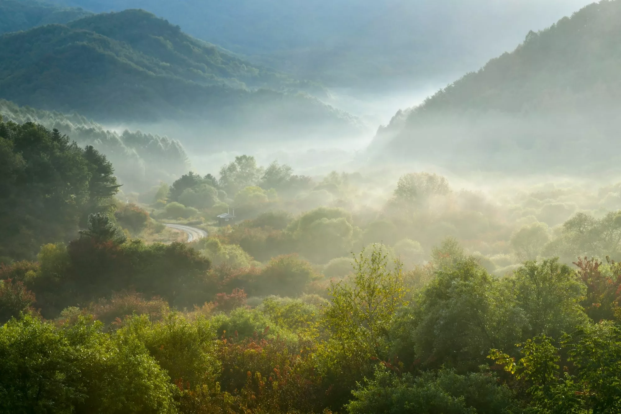 Ambiente verde