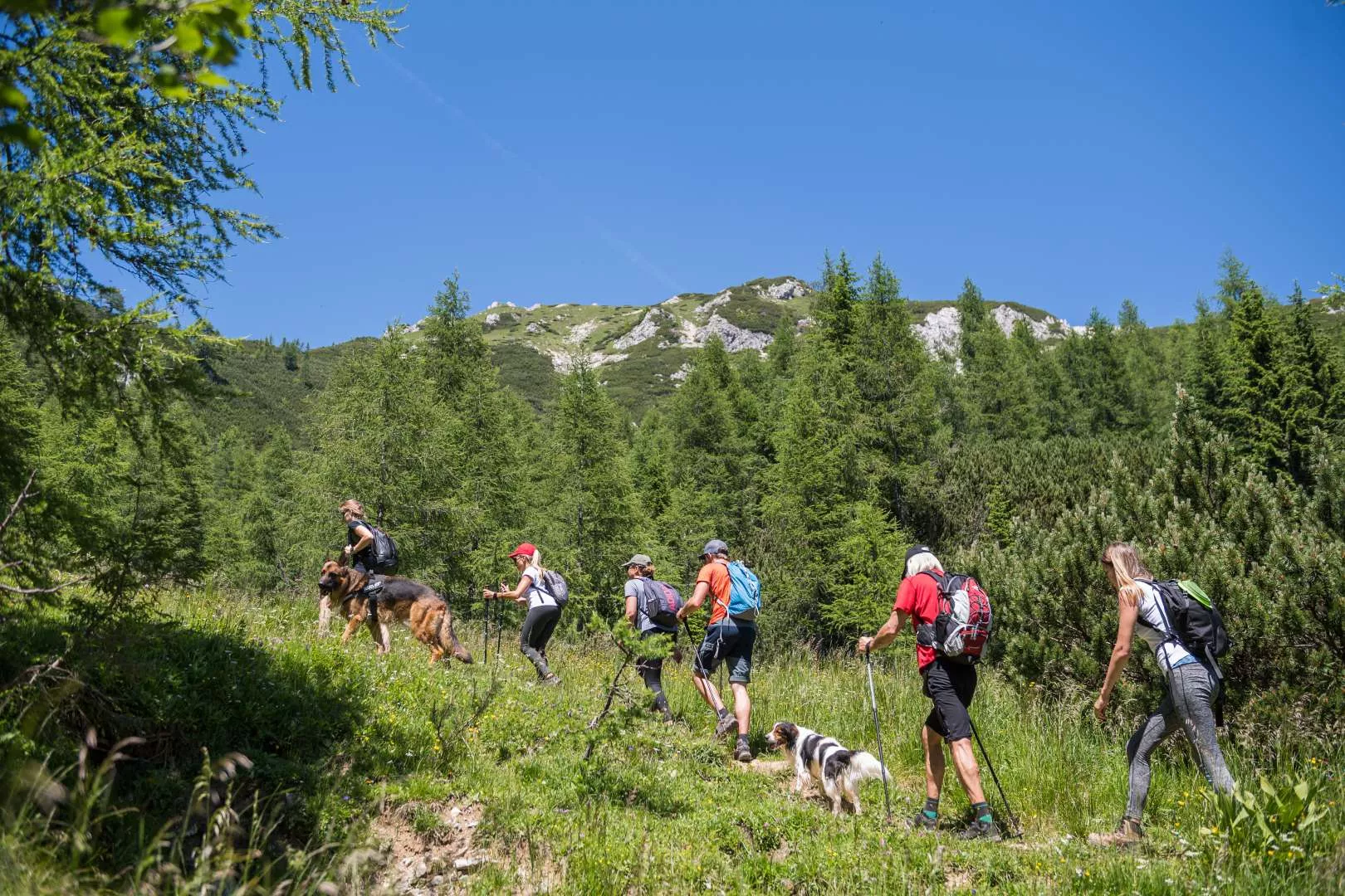 Excursionistas que inician su camino hacia Viševnik
