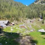 Planina Dedno Polje looks almost exactly as it did years ago Large