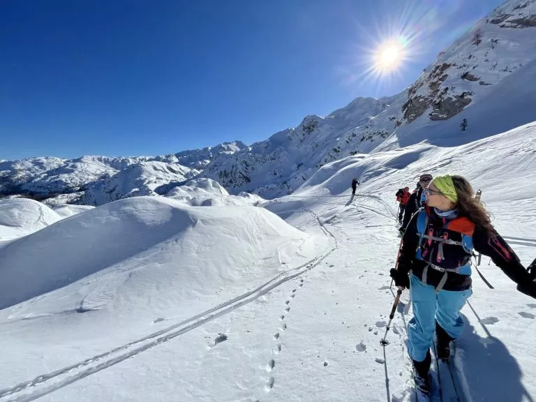 Skinning from Vogel towards Komna