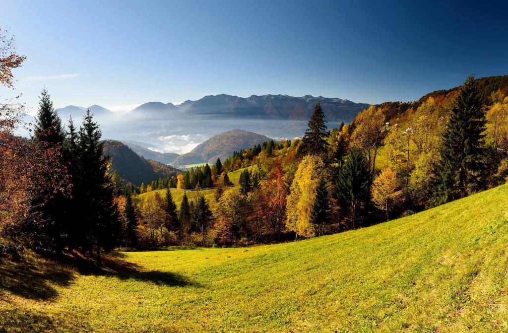 Die prächtige Pokljuka