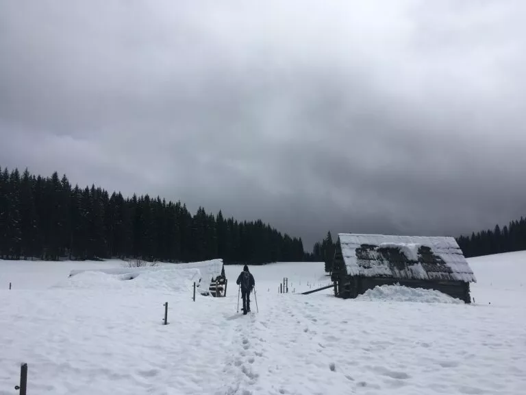 Pastvina Zajavorniki v zimě