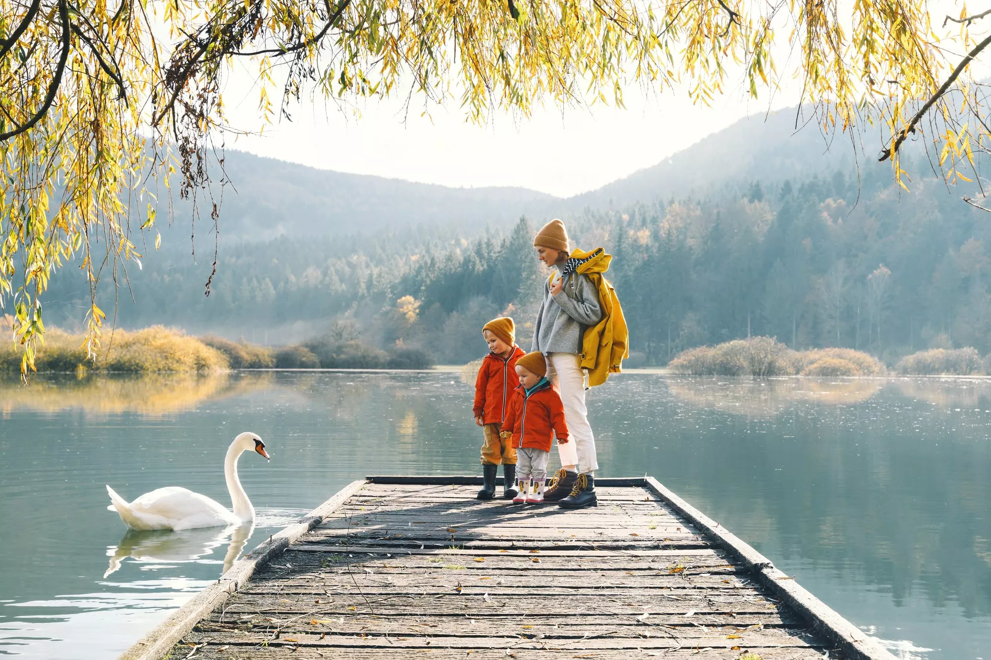 Enfants cygnes