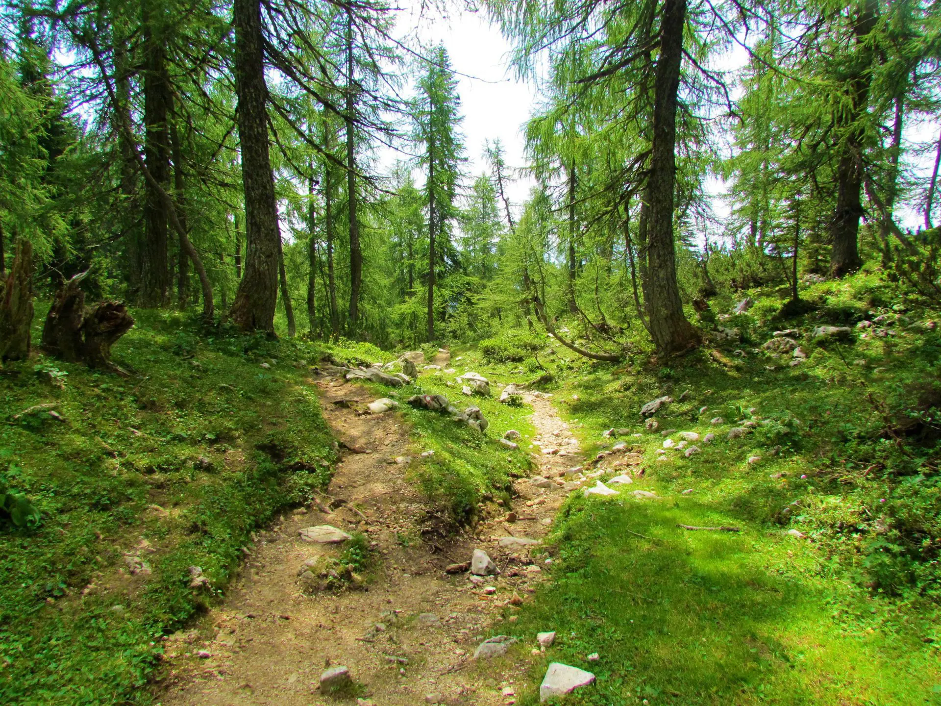 sentiers de randonnée slovénie à l'échelle