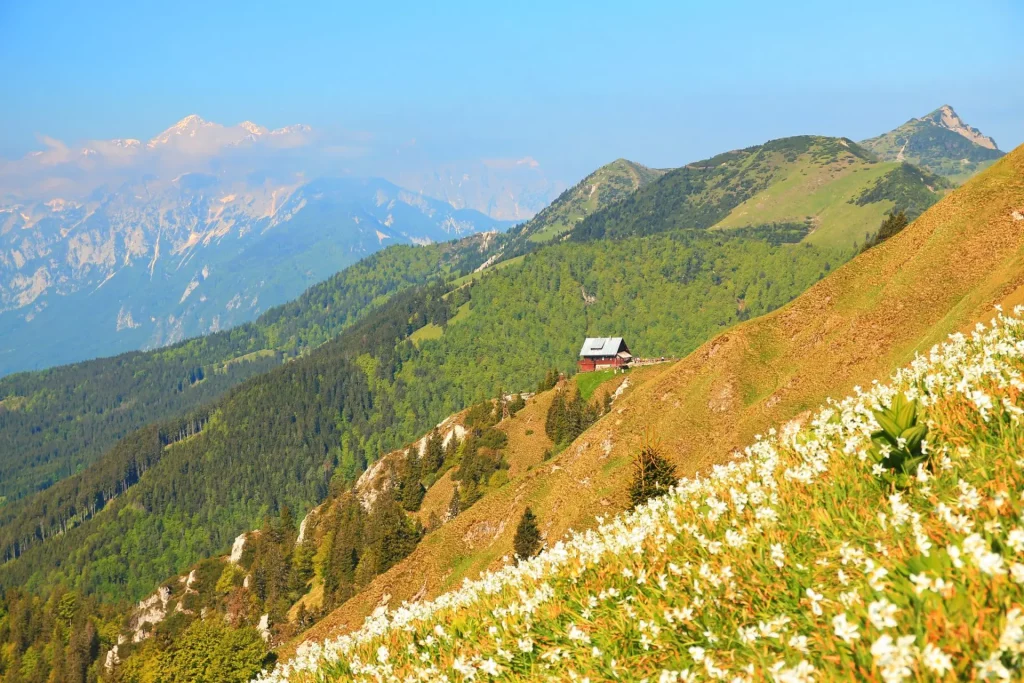 The view of Golica hut in spring